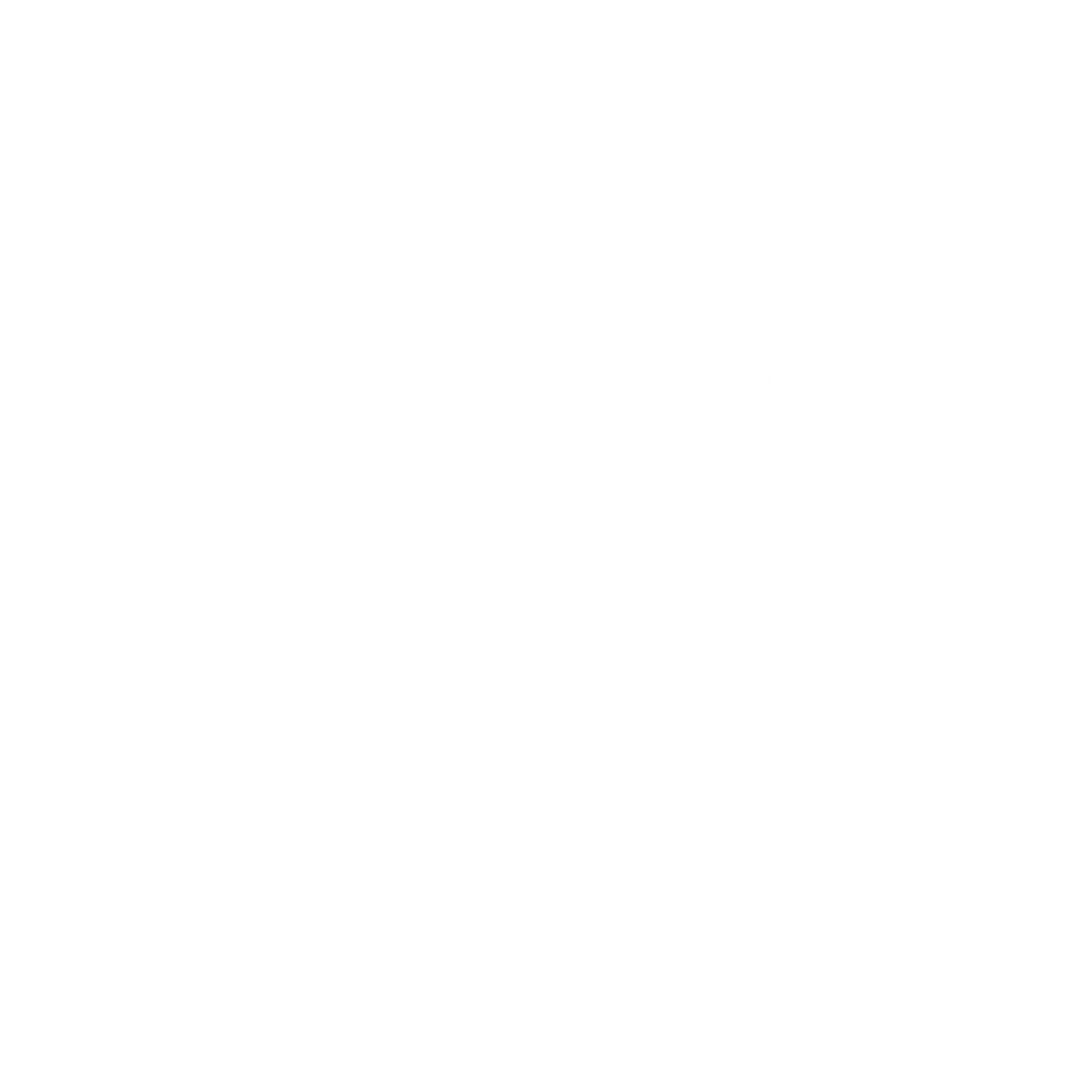 Wild Ground Collective Wild Ground Collective